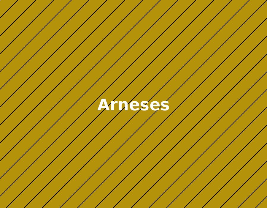 Línea de Arneses